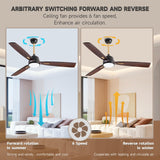AUNLPB 60 inch Farmhouse Rustic Ceiling Fans with Lights, Solid Wood Ceiling Fan, Outdoor Ceiling Fans for Patios Waterproof, DC Reversible Motor High CFM Large Ceiling Fan for Exterior, Front Porch AUNLPB