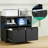 Letaya Mobile 2 Drawer File Cabinet with Lock, Metal Lateral Printer Stand Filing Storage Cabinets with Shelves for Home Office-A4/F4/Letter (Black) Letaya