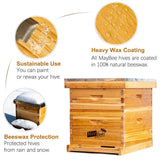 Beehive 8 Frame Bee Hives and Supplies Starter Kit, Bee Hive for Beginner, Honey Bee Hives Includes 1 Deep Bee Boxes, 1 Bee Hive Super with Beehive Frames and Foundation MayBee