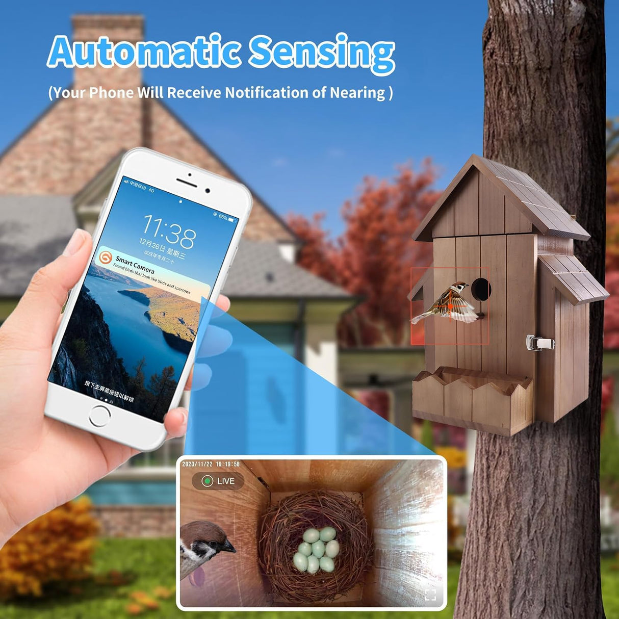 Q-DIRT PRO Bird House with Camera, Smart Birdhouse with Camera Solar Power, 1080p HD WiFi Outdoor Bird Box, Auto Capture Bird Videos & Motion Detection, Nesting Box for Birds (Dark Color, Normal) Q-DIRT PRO