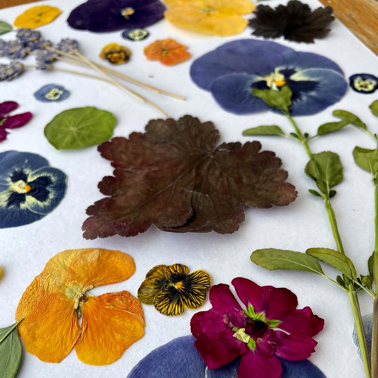 GTQYYF Large Flower Press Kit 10.8 x10.8 inches with Storage Bag,Solid Wood Flower Press Kit - DIY Arts and Craft Kit 10 -Layers, Ideal Gift for Flower & Plant Lovers GTQYYF
