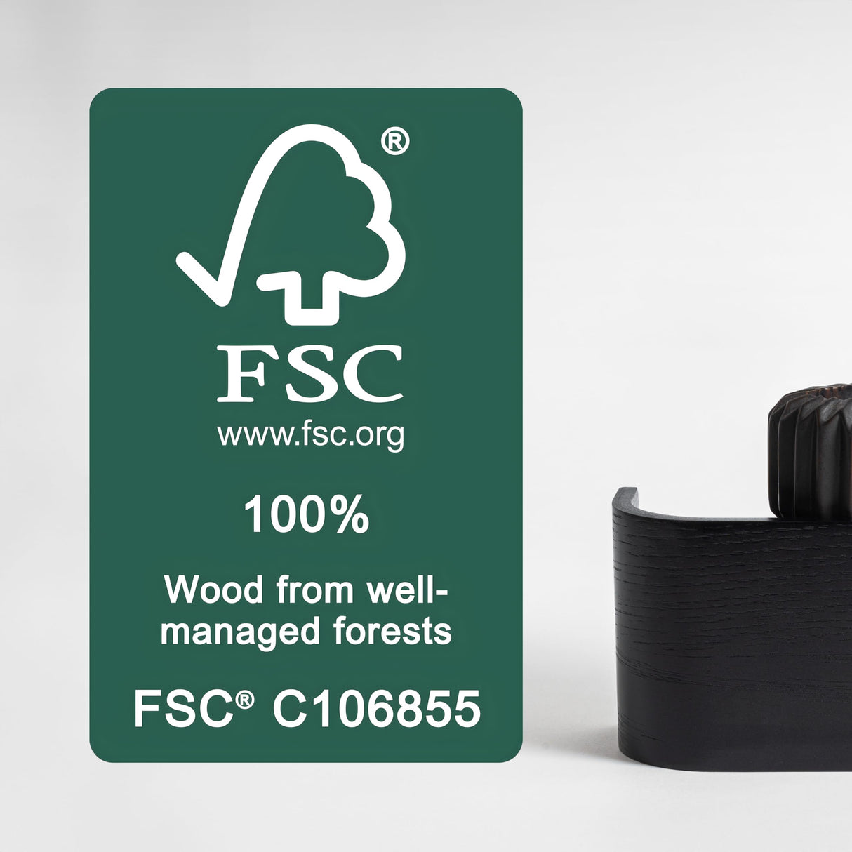 Kazai Wall-Mounted Coat Rack 'Toke' | Modern Design Coat Hanger with Hidden Wall Hooks | Solid Wood Veneer Panel | Oak, Black Kazai.