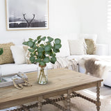 Briful Artificial Eucalyptus Stems in Glass Vase with Faux Water, 14" Fake Plant Eucalyptus Leaves for Home Bathroom Office Farmhouse Wedding Centerpiece Décor Briful