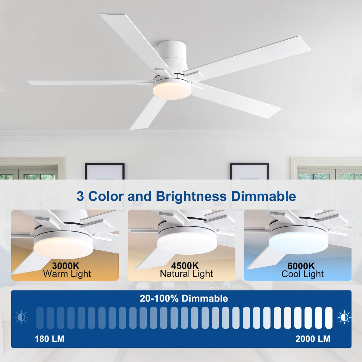 Rayqueen 60 Inch Ceiling Fans with Lights and Remote,Flush Mount White Ceiling Fan with 5 Dual Sided Blades,6 Speed Reversible DC Motor,3CCT Dimmable LED-Low Profile Design for Indoor or Covered Patio Rayqueen
