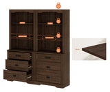 WAMPAT 2 Column 73.3" Tall Bookcase with Chest of Drawers, 63 inch Wide Standing Rustic Bookshelves, Modern Farmhouse Display Storage Cabinet with Adjustable Shelves,Dark Wood Brown WAMPAT