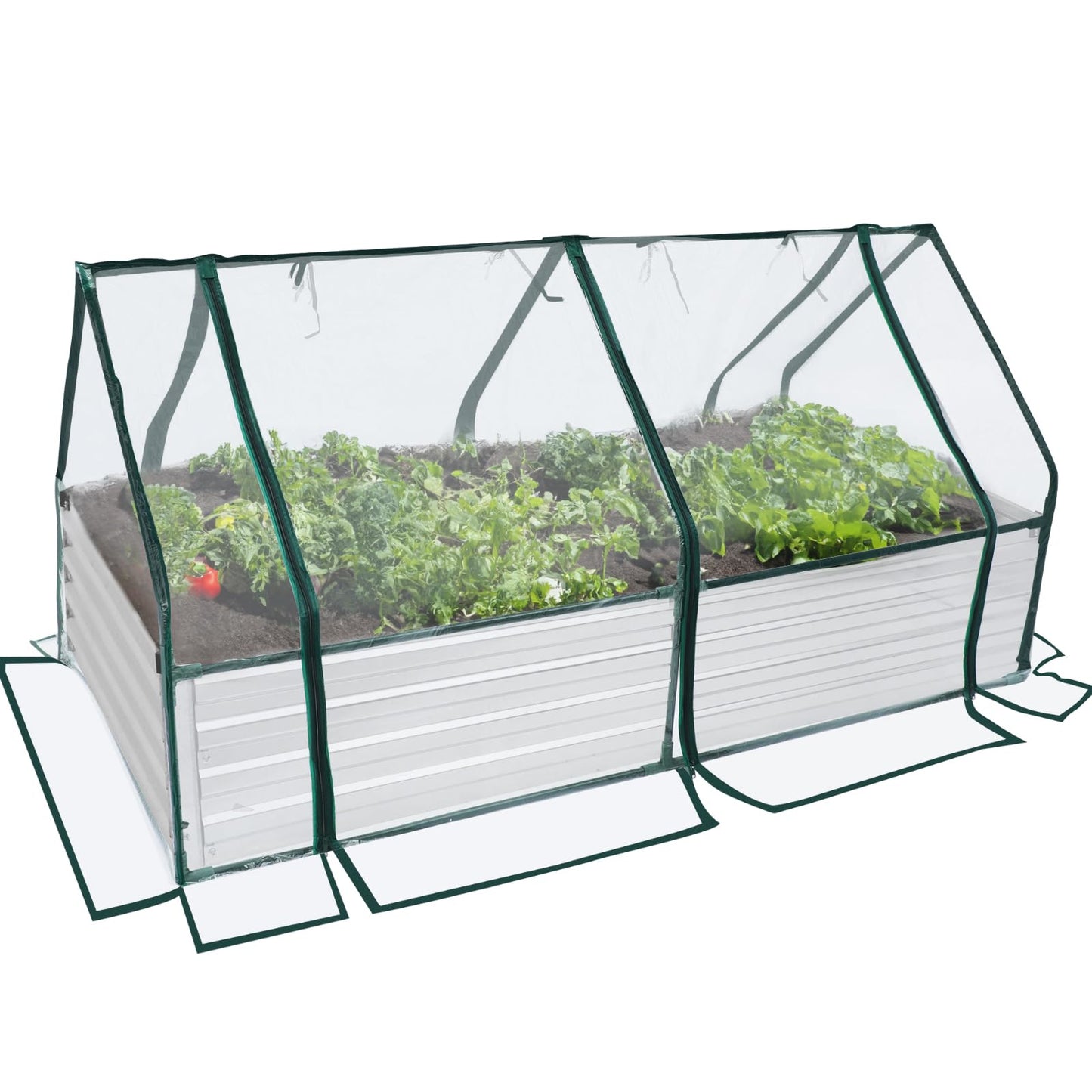 DIIYIV 4x3x1 Raised Garden Bed with Cover-Outdoor Galvanized Planter Box, Bottomless Flower Bed with Clear Cover, Raised Garden Bed Kit with Dual 2-Tier Roll-Up Windows, Easy Venting & Watering