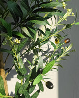 Caxchiling Faux Olive Tree 6FT, Artificial Potted Tree with Planter, Silk Plants Indoor Outdoor, Lifelike Olive Plants with Natural Wood Trunk, Fruits and Buds, Home Office Decor, 1 Pack Caxchiling