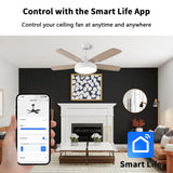 Universal Smart WiFi Ceiling Fan Remote Control Kit, Compatible with Alexa, Google Assistant and Smart Life App, No Hub Required DIMMER Humpptom