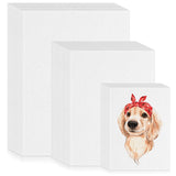 Sherr 300 Sheets 3 Sizes Painting Paper 90 lb/ 160 GSM White Artist Drawing Writing Paper for Kids Students Painting Beginners Artists Drawing Sketch, 5 x 7, 6 x 9, 9 x 12(Watercolor) Sherr