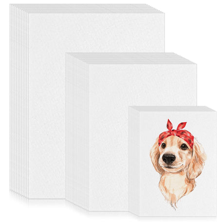 Sherr 300 Sheets 3 Sizes Painting Paper 90 lb/ 160 GSM White Artist Drawing Writing Paper for Kids Students Painting Beginners Artists Drawing Sketch, 5 x 7, 6 x 9, 9 x 12(Watercolor) Sherr