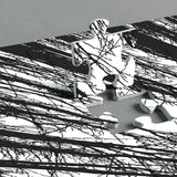 Impossible Puzzle 1000 Piece, Challenging Difficult Puzzles for Adults, Hard Jigsaw Puzzles for Adults BBOLDIN