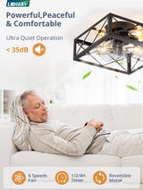 LEDIARY Caged Flush Mount Ceiling Fans with Lights and Remote, Black Square Low Profile Ceiling Fan, Small Farmhouse Bladeless Ceiling Fan for Bedroom, Kitchen, Indoor LEDIARY