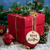 80 PCS 2.4-2.8 Inch Unfinished Wood Slices, Natural Wood Slices, Predrilled with Hole Wood Slice for DIY Arts Craft Christmas Ornaments GNIEMCKIN