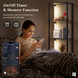 FENLO Fancy - LED Display Shelf with Dimmable Lights, LED Shelf Floor Lamps for Living Room, Sturdy Corner Shelf Curio Cabinet Display, Tall Floor Lamps with Shelves FENLO