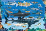 Sharks 100 Piece Jigsaw Puzzle EuroGraphics