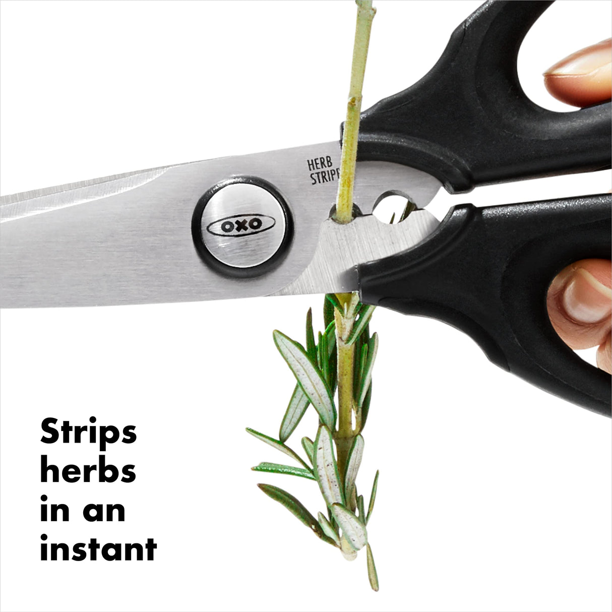 OXO Good Grips Multi-Purpose Kitchen and Herbs Scissors OXO