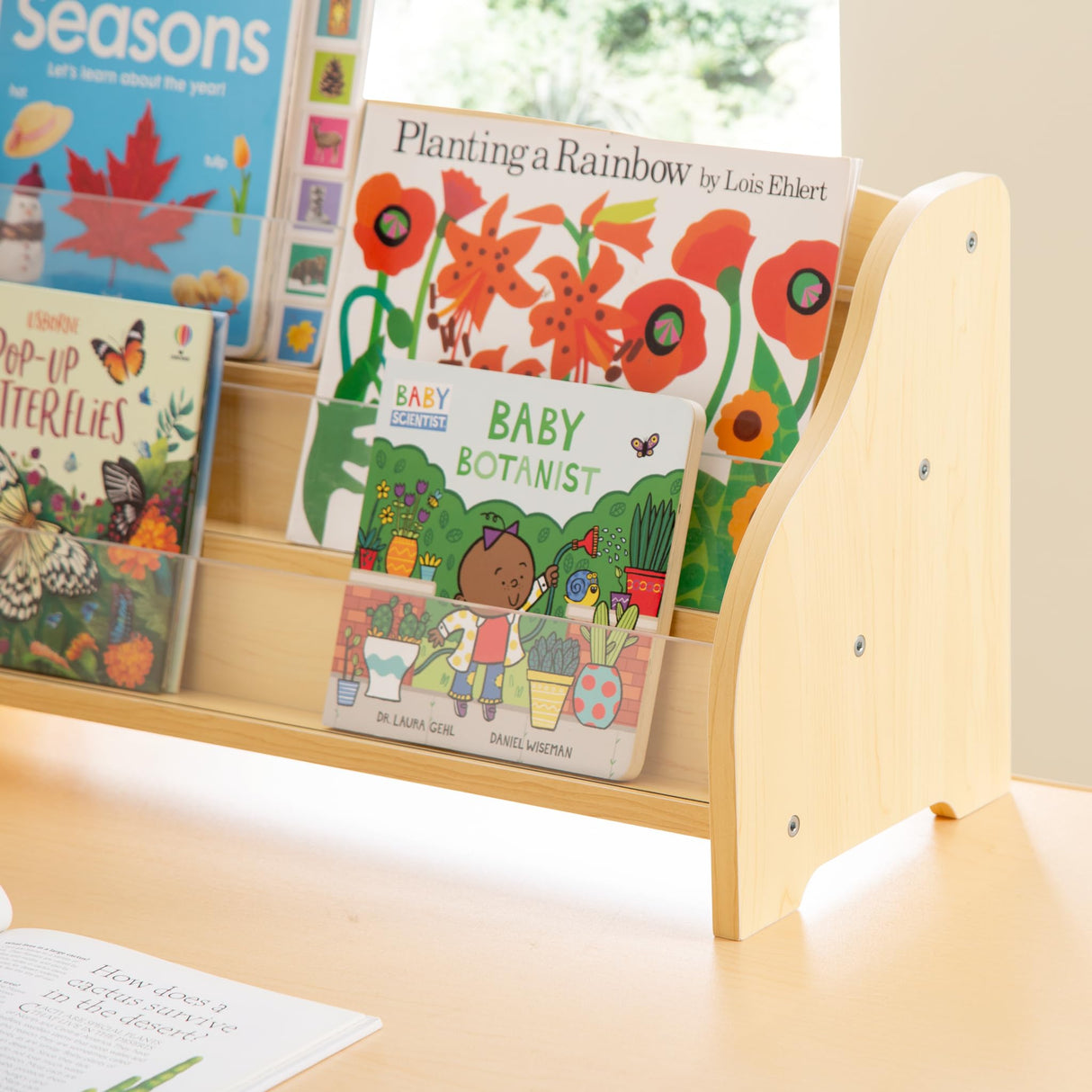 Guidecraft Tabletop Book Display: Book Shelf Display Rack for Kids Room Guidecraft