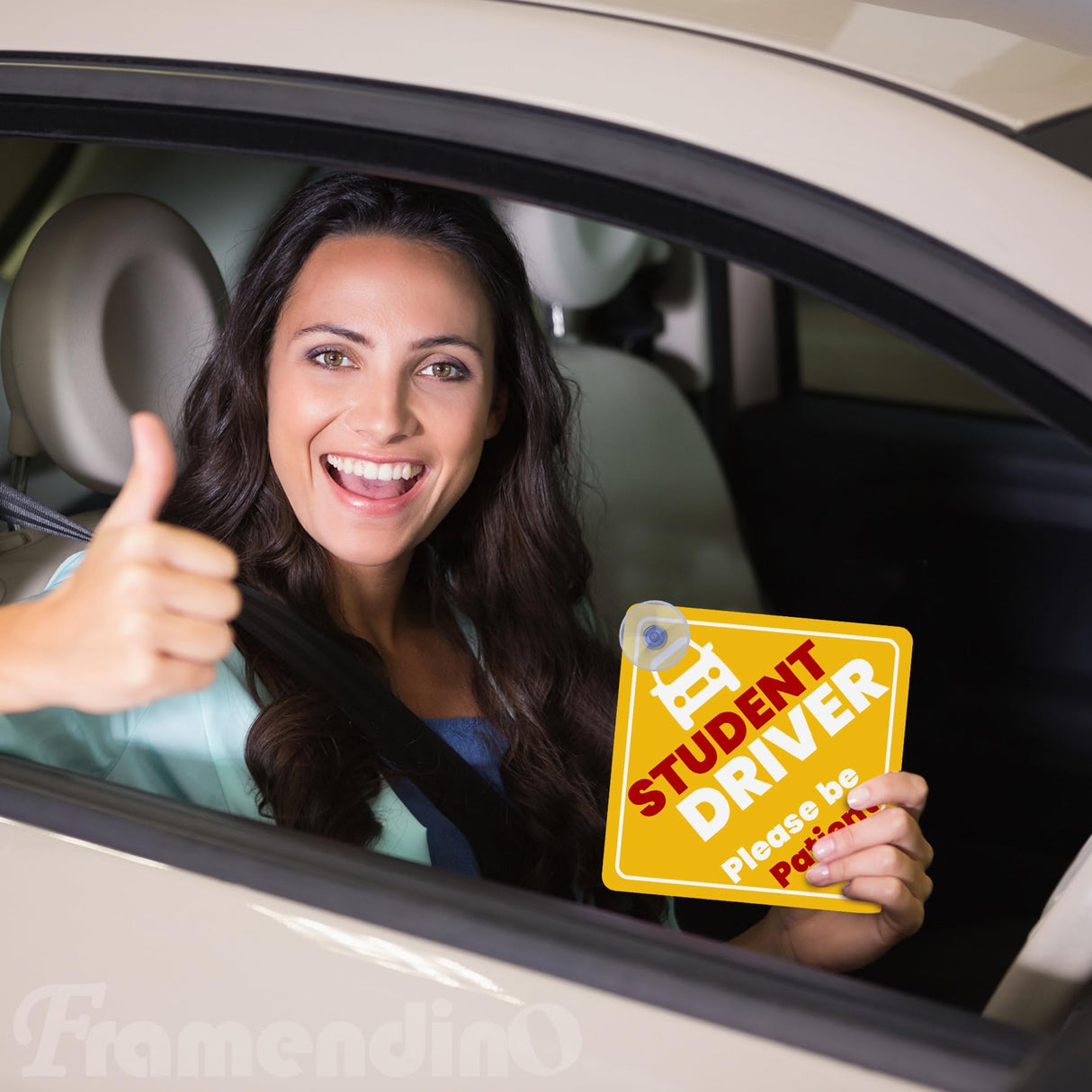 Framendino, 10 Pack Sublimation Blanks Suction Cup Car Window Sign Heat Transfer Metal Signs for DIY Craft Framendino