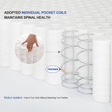 Hotkid,Queen Mattress,10 Inch High Density Foam Hybrid Mattresses in a Box with Individual Pocket Spring,Queen Size mattresses,Breathable Supportive and Pressure Relief,Guest and Kids Bedroom (Queen) Hotkid