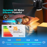 42 inch Ceiling Fans with Lights, Modern Black Ceiling Fan with Remote Control App, DC Motor Quiet, 3CCT Dimmable Memory, Led Sloped Flat Ceiling Fan with Light for Bedroom Indoor&Outdoor Patio BayDay