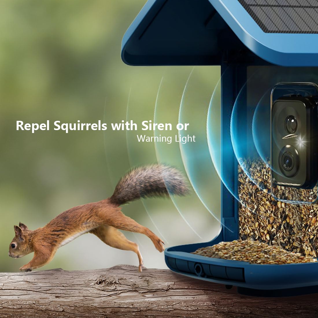 OnlyFly Bird Feeder with Camera - Thumbnail 4