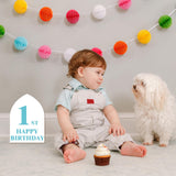 MineIdea 12 Pack Unfinished Gothic Arch Wood Plaque, 5" x 7" Unfinished Wood Arch Crafts DIY Wood Gothic Plaque, Unfinished Arch Wood Boards for Crafts DIY Wood Projects MineIdea