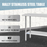 Hally Stainless Steel Table for Prep & Work 18 x 48 Inches, NSF Commercial Heavy Duty Table with Undershelf and Galvanized Legs for Restaurant, Home and Hotel HALLY SINKS & TABLES H