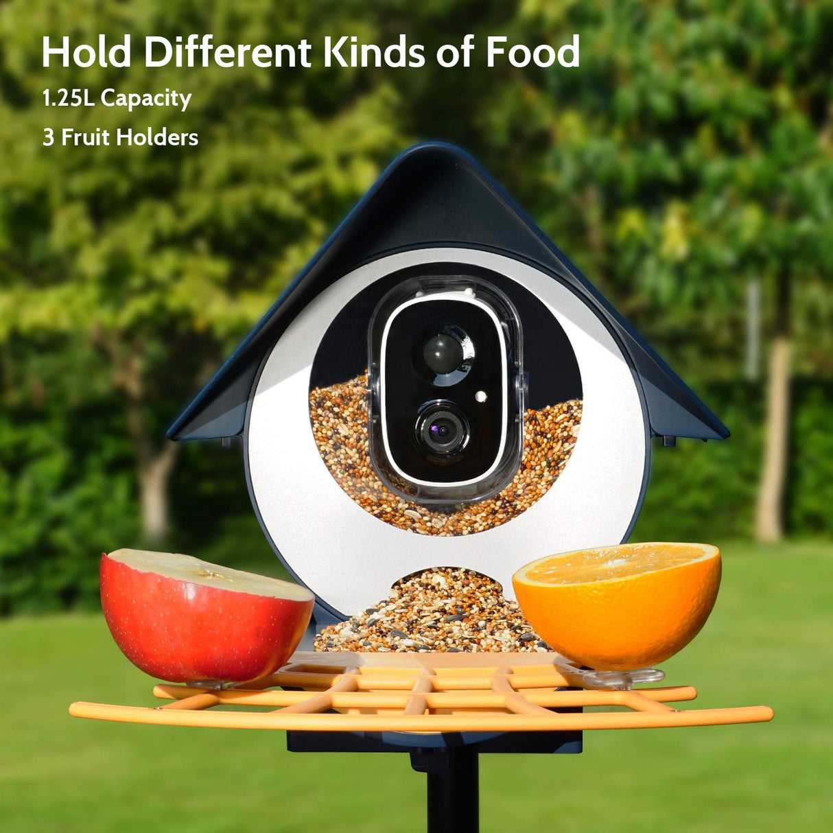 Birdkiss Smart Bird Feeder with Camera, AI Identify Bird Feeder Camera with Solar Pannel, Auto Capture Bird Full HD Videos & Instant Notification, Birdkiss