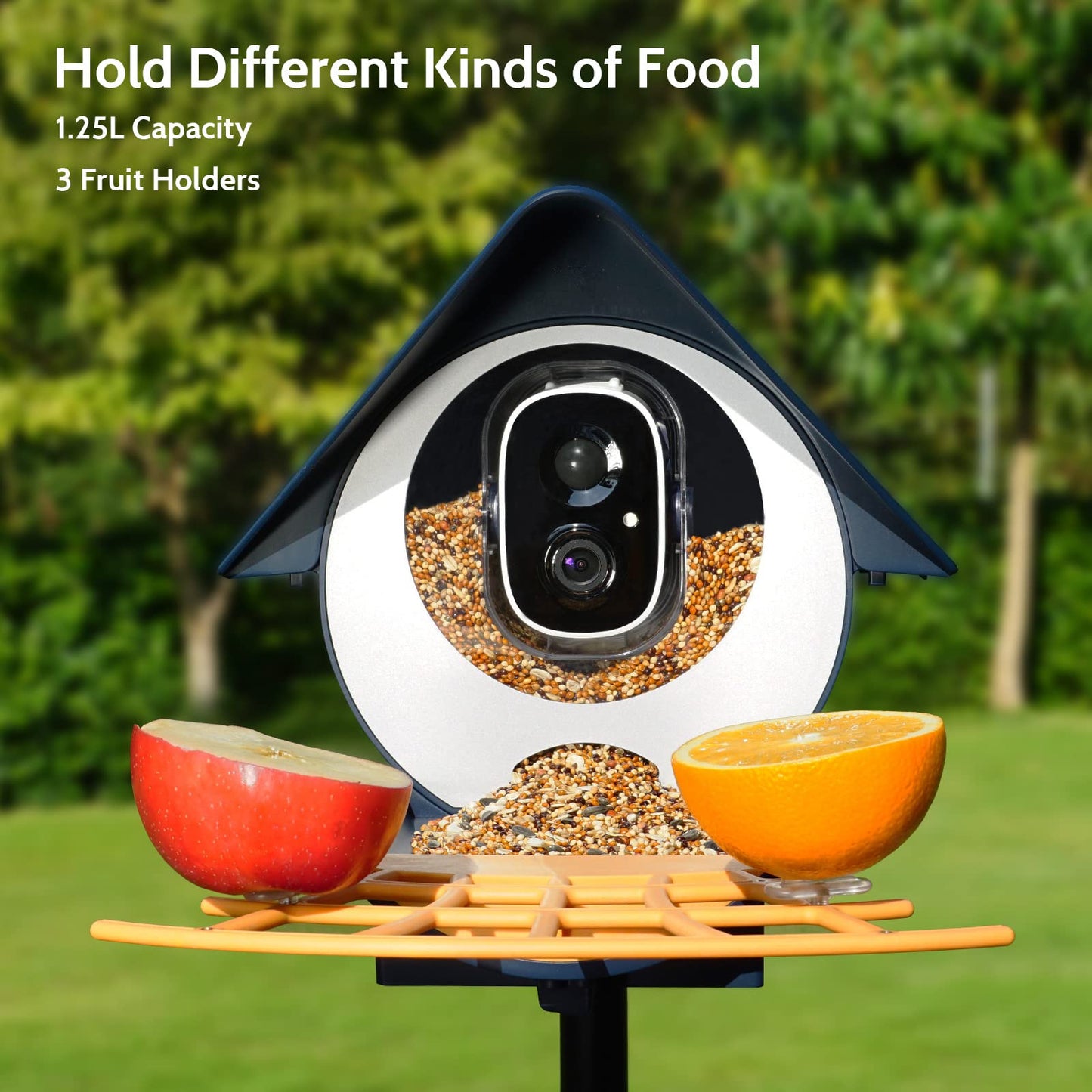 Birdkiss Smart Bird Feeder with Camera, AI Identify Bird Feeder Camera with Solar Pannel, Auto Capture Bird Full HD Videos & Instant Notification, - WoodArtSupply