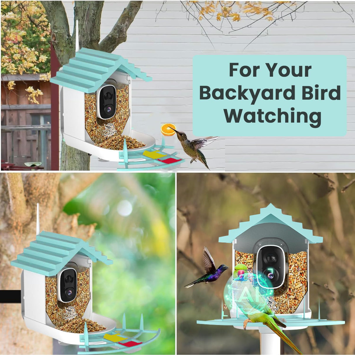 Smart Bird Feeder with Camera - Night Vision 1.5L Bird Feeder Camera with Solar Power -AI 1080p HD Identify 10000+ Birds Species Wifi 2.4 GHz Auto Capture Bird and IOS/Andriod Supported KimLamPro