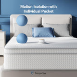 Avenco 10 Inch Queen Mattress, Hybrid Mattress in a Box with Smarts™ Coil Individually Pocket Spring, Medium Firm Mattresses with Memory Foam for Pressure Relief,CertiPUR-US Certified for Adults Avenco