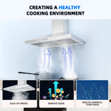 FIREGAS Range Hood 30 Inch, Stainless Steel Wall Mount Kitchen Hood 450 CFM with 3 Speed Exhaust Fan, Ducted/Ductless Convertible, Stove Vent Hood for Kitchen with Aluminium Mesh and Charcoal Filters FIREGAS