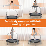 Sweetcrispy 40" in/48 in Mini Fitness Trampoline - 330LBS Foldable Exercise Rebounder with Adjustable Handle, Stable and Quiet, for Adults Indoor/Outdoor Workout Sweetcrispy