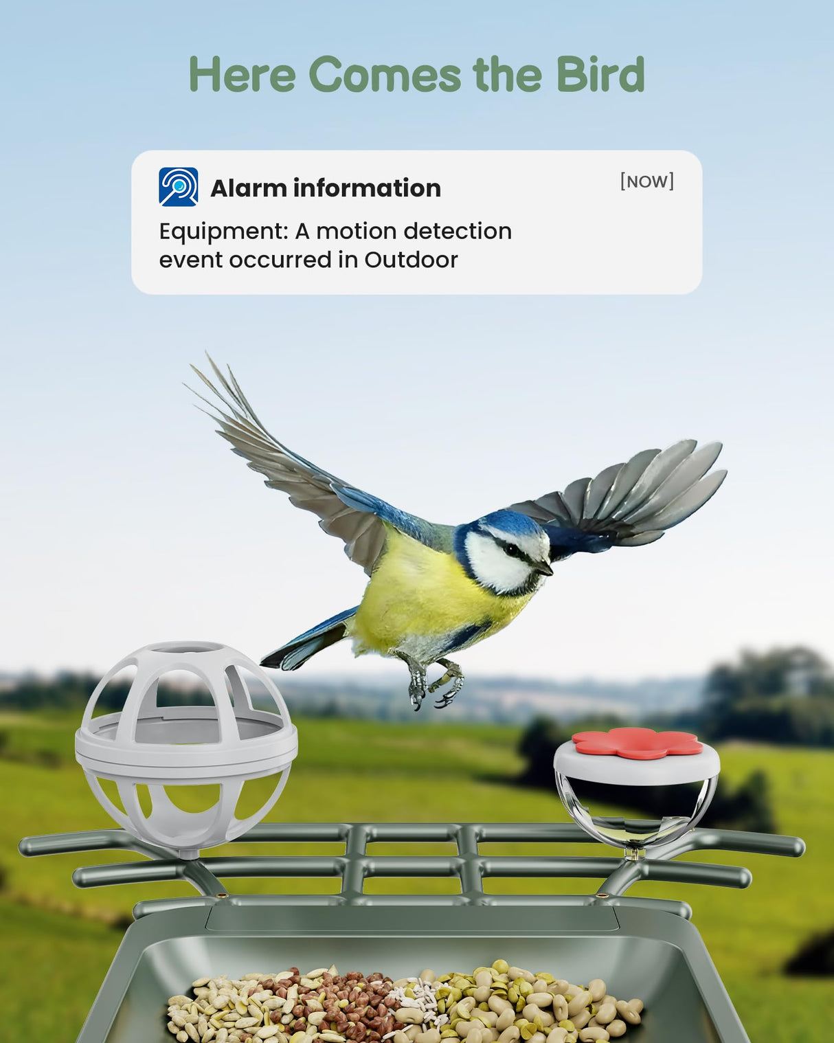 PEEIPM Bird Feeder with Camera Solar Smart Bird House with Camera Outdoor Garden Feeders for Bird Auto Capture Bird Videos Wild Birds Watching Cam 2K Resolution AI Recognition Visible Window PEEIPM