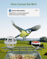 PEEIPM Bird Feeder with Camera Solar Smart Bird House with Camera Outdoor Garden Feeders for Bird Auto Capture Bird Videos Wild Birds Watching Cam 2K Resolution AI Recognition Visible Window PEEIPM