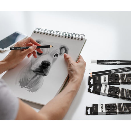 Geyoga 36 Pcs Professional Charcoal Pencils Soft, Medium and Hard for Drawing Charcoal Pencils for Sketching Shading Drawing Blending Portrait(Black,Assorted) Geyoga