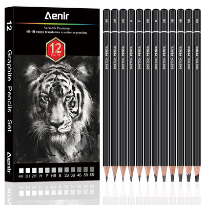 Sketch Pencils for Drawing, Set of 12 Drawing Pencils for Sketching Medium (6B - 4H), Artist Graphite Pencils, Sketch Set for Artists for Sketching Supplies, Art Supplies.