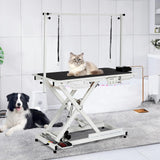 Dog Grooming Table,50''Electric Lift Heavy Duty Cat Grooming Table with Anti Slip Tabletop, Adjustable Pet Grooming Table with Aluminium Overhead Arm for Home and Salon,Maximum Capacity Up to 300Lb Kiarixo