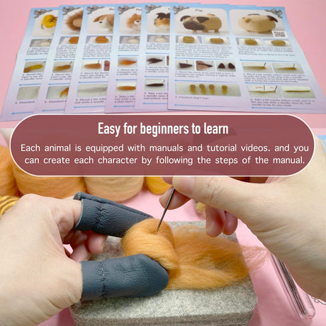 Needle Felting Kit, DIY Crafts for Adults Women, Hobby Kit with Felting Supplies,Felting Needles, Felting Wool and Tools for Beginners, Adult Craft Kits, Animal Kit 6pcs ZygoFelts
