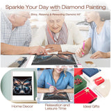 DIADAY 5D Diamond Art Kits, Cosmic Butterfly Diamond Painting Kits for Adults, Full Drill Landscape Diamond Art, DIY Round Gem Craft Arts Home Wall Decor Gift 12 x 12 Inches DIADAY