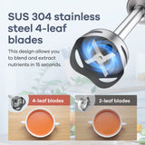 Ganiza Immersion Blender 5 in 1 Hand Blender Max 1000W Heavy Duty Motor, 16 Speed Mode Handheld Blender Stainless Steel Blade With 800ml Mixing Beaker, 600ml Chopper, Whisk and Milk Frother Ganiza