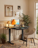 ErGear Standing Desk with Drawer, 48 x 24 inch Electric Height Adjustable Desk with 4 Preset Heights & 2 Storage Hooks, Sit Stand Desk Computer Desk with Drawer for Home & Office, Black EGESD80B ErGear