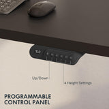 FLEXISPOT E6 Essential Standing Desk 3 Stages Dual Motor Electric 60x24 Inch Whole-Piece Board Height Adjustable Desk Electric Sit Stand Desk(Black Frame + Black Desktop, 2 Packages) FLEXISPOT