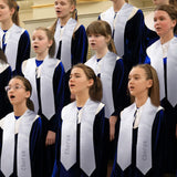 Haysandy 6 Pieces Unisex Graduation Stole Blanks Sublimation Graduation Sash Honor Stole for Graduation Students, 70 Inch(White) Haysandy