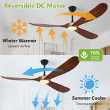 Haipeel 52 Inch Outdoor Ceiling Fans with Lights, Dimmable Solid Wood Ceiling Fan with Light and Remote Control Modern 3 Blades Propeller Ceiling Fans DC Motor for Patios Indoor Bedroom, Dark Walnut Haipeel
