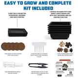 Sproutix Bonsai Starter Kit, 5 Seeds Growing into Acacia, Wisteria, Sakura, Red Maple and Black Pine, Including Complete Gardening Tools with A Gift Box, Christmas Gifts for Men Women Beginners SPROUTIX