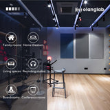 Olanglab Sound Absorbing Acoustic Wall Panels 2 Pack, 2'' 24''x48'' Fiberglass Sound Dampening Panels, Large Fabric Wrapped Sound Proof Panels for Walls (Light Gray) Olanglab