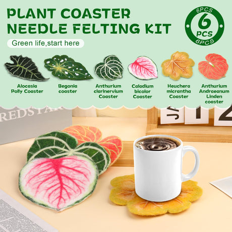 OEHPICC Needle Felting Kit, 6 PCS Plant Leaf Coasters Needle Felting Starter Kit,Wool Felting Kit with Wool Roving, Foam Pad and Instructions for DIY Felting Starters OEHPICC