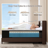 Duchessz Full Mattress, 14 Inch Hybrid Mattresses Eurotop with Gel Memory Foam,Motion Isolation Individually Wrapped Pocket Coils Breathable Comfort Soft Pressure Relief 100 Night Trial Duchessz