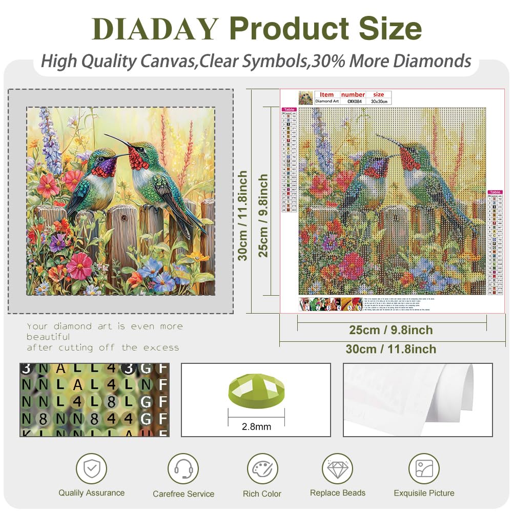 DIADAY Two Hummingbirds Diamond Art Kits for Adults, Birds Diamond Painting Kits for Adults, 5D Full Drill Round Diamond Art, DIY Gem Craft Arts Home Wall Decor Gift 12 x 12 Inches DIADAY